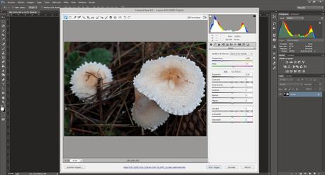 Capítulo 6 - Editando nuestras fotos - Parte 4 Capítulo 6 - Editando nuestras fotos - Parte 4