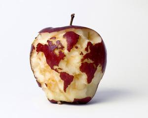 apple globe web
