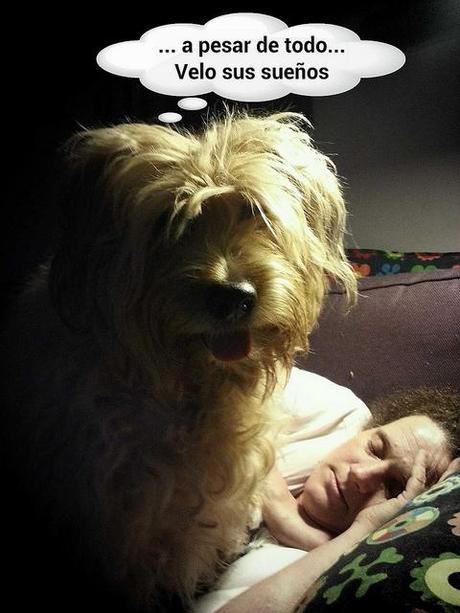 Estamos tan Agustito XIX. Velando su sueño estamos tan agustito