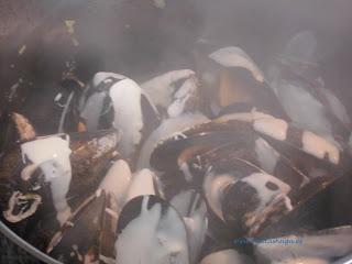Mejillones con nata y puerro