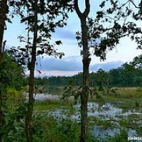 Rinokarma en Chitwan