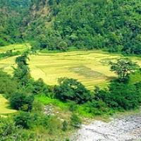 Rinokarma en Chitwan