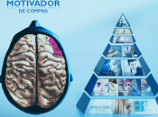 modelo Neuropiramide