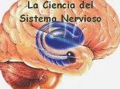 Neurociencia: ciencia estudio cerebro