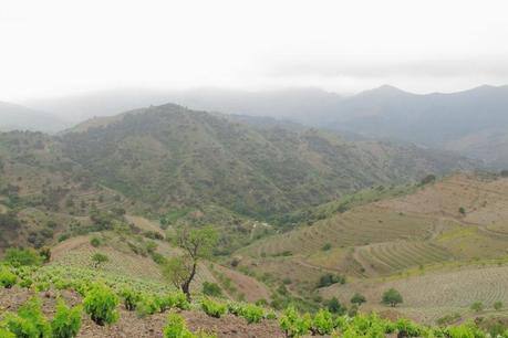 El Priorat des de Mas de la Rosa