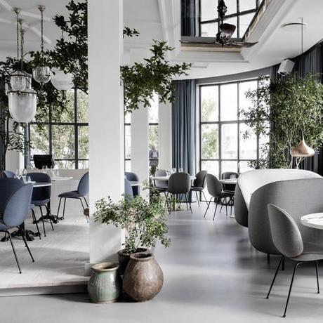 The Standard Copenhague, elegancia y frescura en un restaurante