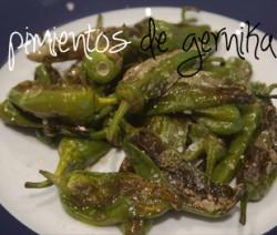 Pimientos de Gernika gernika01