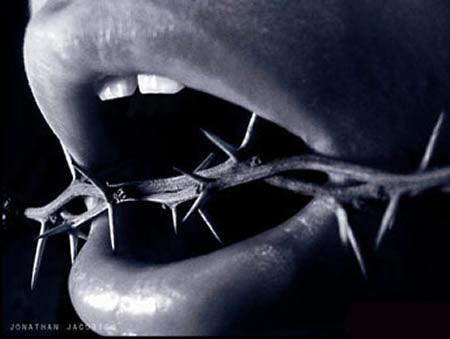 Hackers y la seguridad