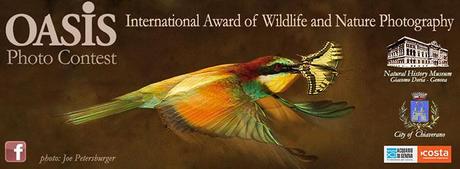Concurso Internacional de Fotografía de Naturaleza “Oasis Photo Contest 2013″