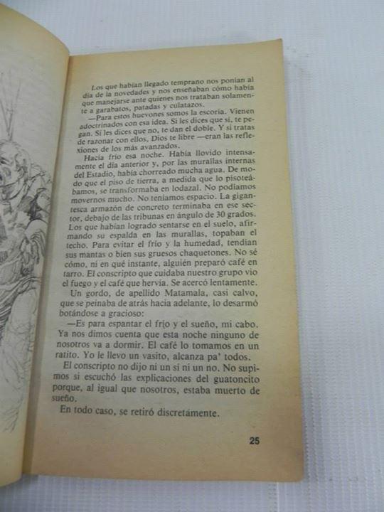 Un Gato irreverente. Alberto Gamboa