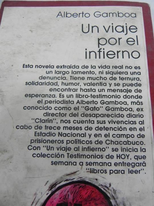 Un Gato irreverente. Alberto Gamboa