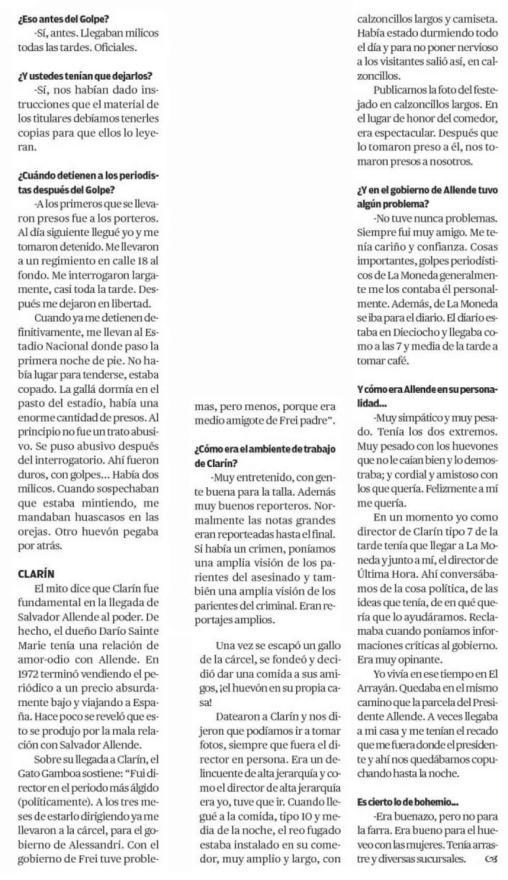 Un Gato irreverente. Alberto Gamboa