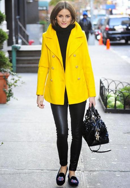 PUT SOME COLOR IN YOUR WINTER PUT SOME COLOR IN YOUR WINTER