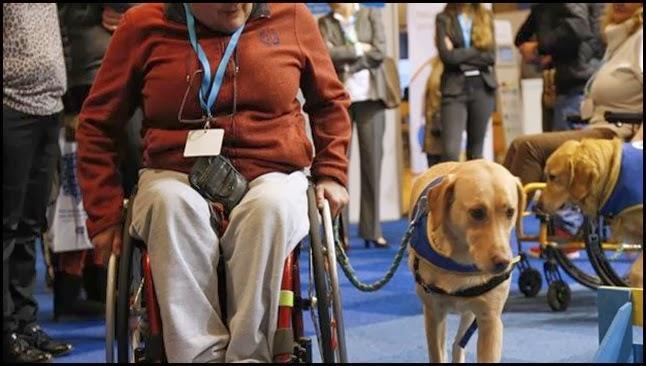 Día internacional de las personas con discapacidad