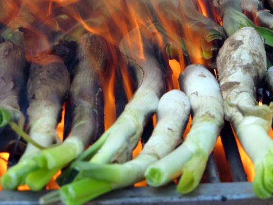 calçots3