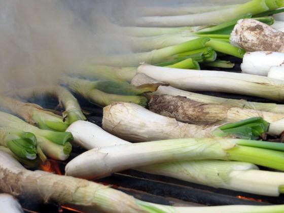 calçots4
