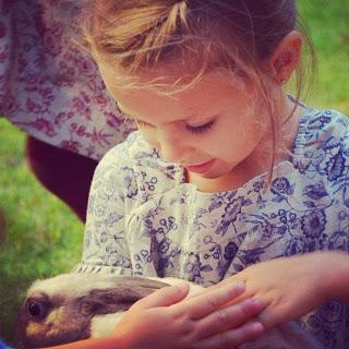 ABRIGO AZUL MARINO PARA NIÑA ABRIGO AZUL MARINO PARA NIÑA