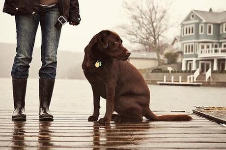 Blogs de moda masculina (II) Blogs de moda masculina (II)