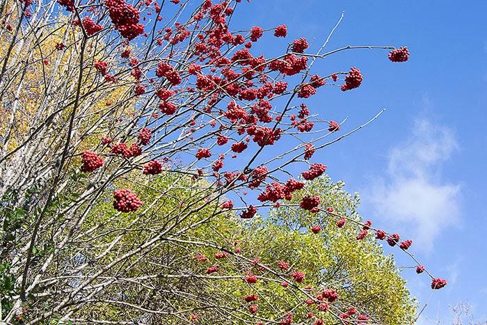 Un finde de Turismo Rural en Os Ancares