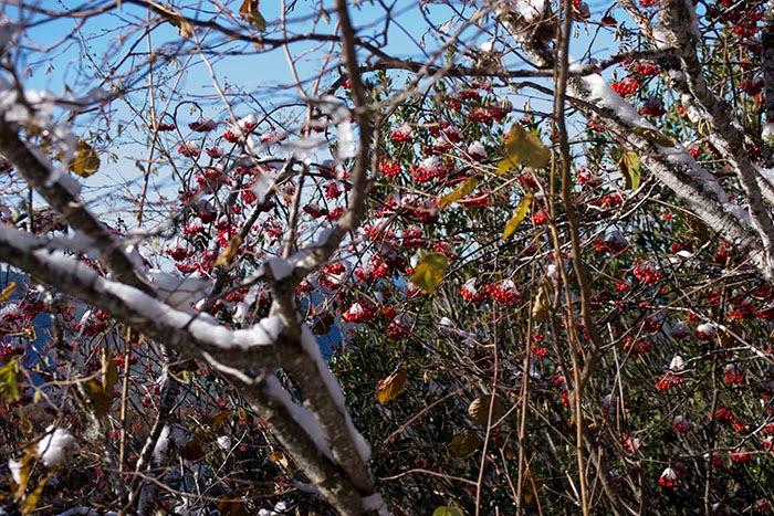 Un finde de Turismo Rural en Os Ancares