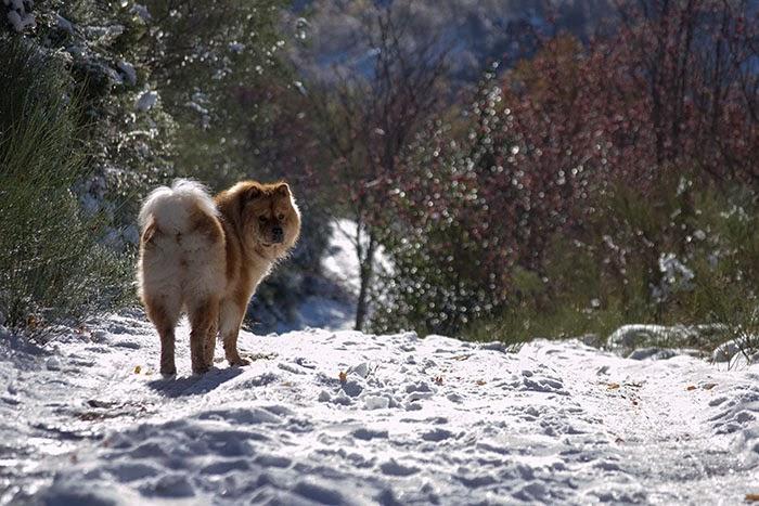 Un finde de Turismo Rural en Os Ancares