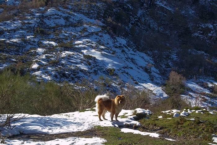 Un finde de Turismo Rural en Os Ancares