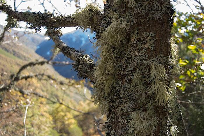 Un finde de Turismo Rural en Os Ancares