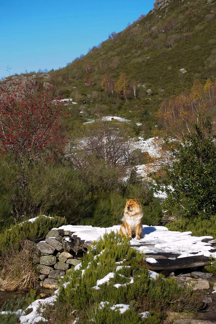 Un finde de Turismo Rural en Os Ancares