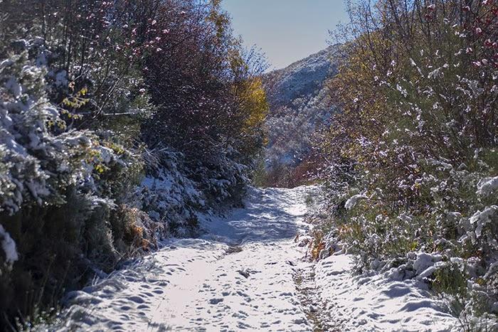 Un finde de Turismo Rural en Os Ancares