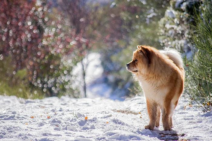 Un finde de Turismo Rural en Os Ancares