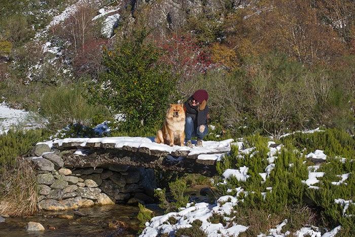 Un finde de Turismo Rural en Os Ancares