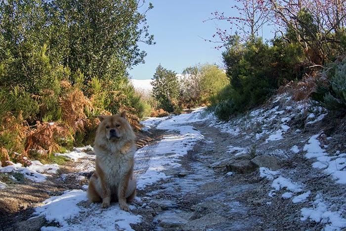Un finde de Turismo Rural en Os Ancares