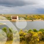 Villafáfila … un paraiso para la invernada de patos y gansos