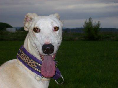 La nueva cara de Gabino....