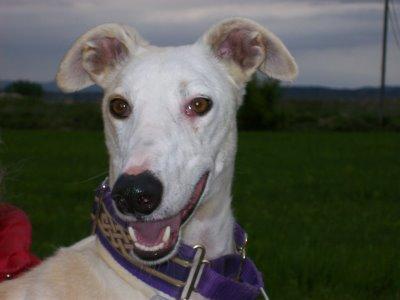 La nueva cara de Gabino....