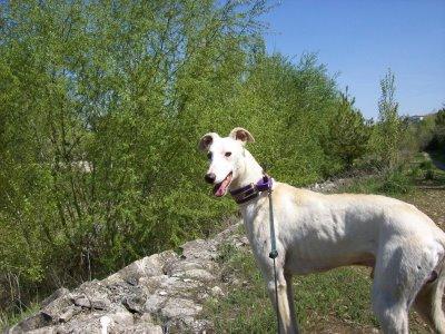 La nueva cara de Gabino....