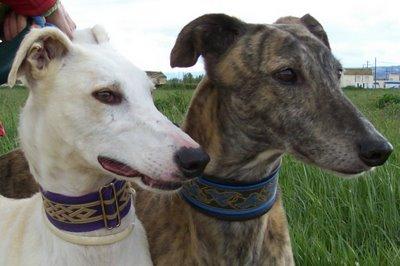 La nueva cara de Gabino....