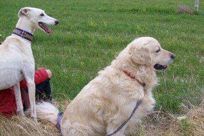 La nueva cara de Gabino....