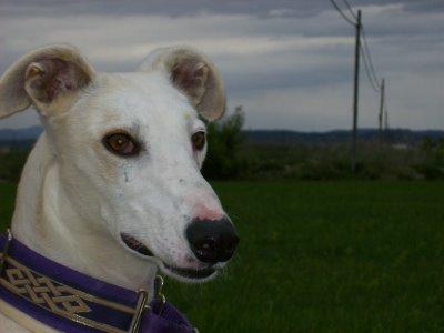 La nueva cara de Gabino....