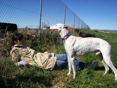 Gabino....tiene hogar.