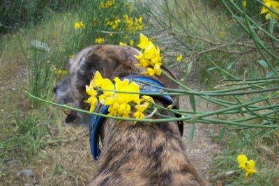 La primavera....como me gusta!!