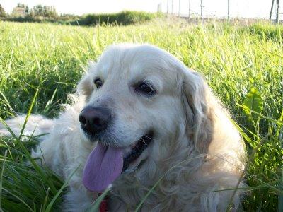 La primavera....como me gusta!!