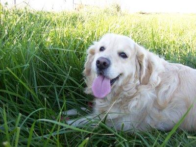 La primavera....como me gusta!!