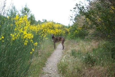 La primavera....como me gusta!!