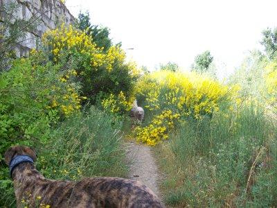 La primavera....como me gusta!!