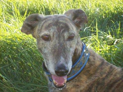 La primavera....como me gusta!!