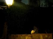 Luna nueva…todo hacer!