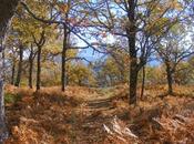 PEQUEÑOS GRANDES ARTISTAS: ganadores Rally Fotográfico Infantil