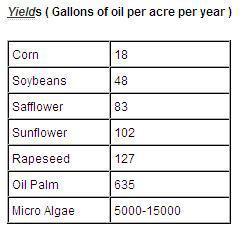 Comparación de los rendimientos medios de aceite producido a partir de algas con otras semillas oleaginosas. /oilgae.com