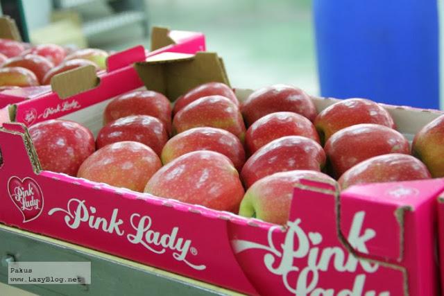 Cosas que debes saber sobre las manzanas Pink Lady